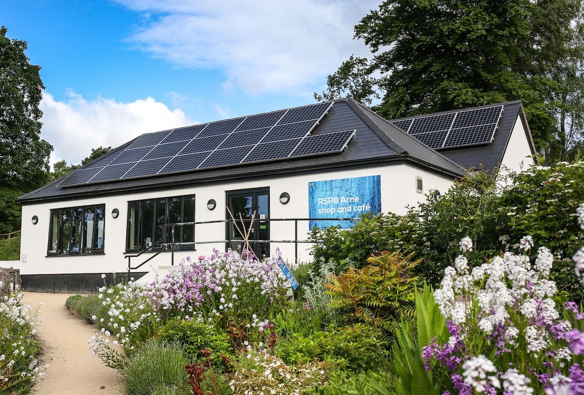 https://ongen.co.uk/wp-content/uploads/2022/01/New_solar_panels_installed_at_RSPB_Arne_in_Dorset_2.jpg