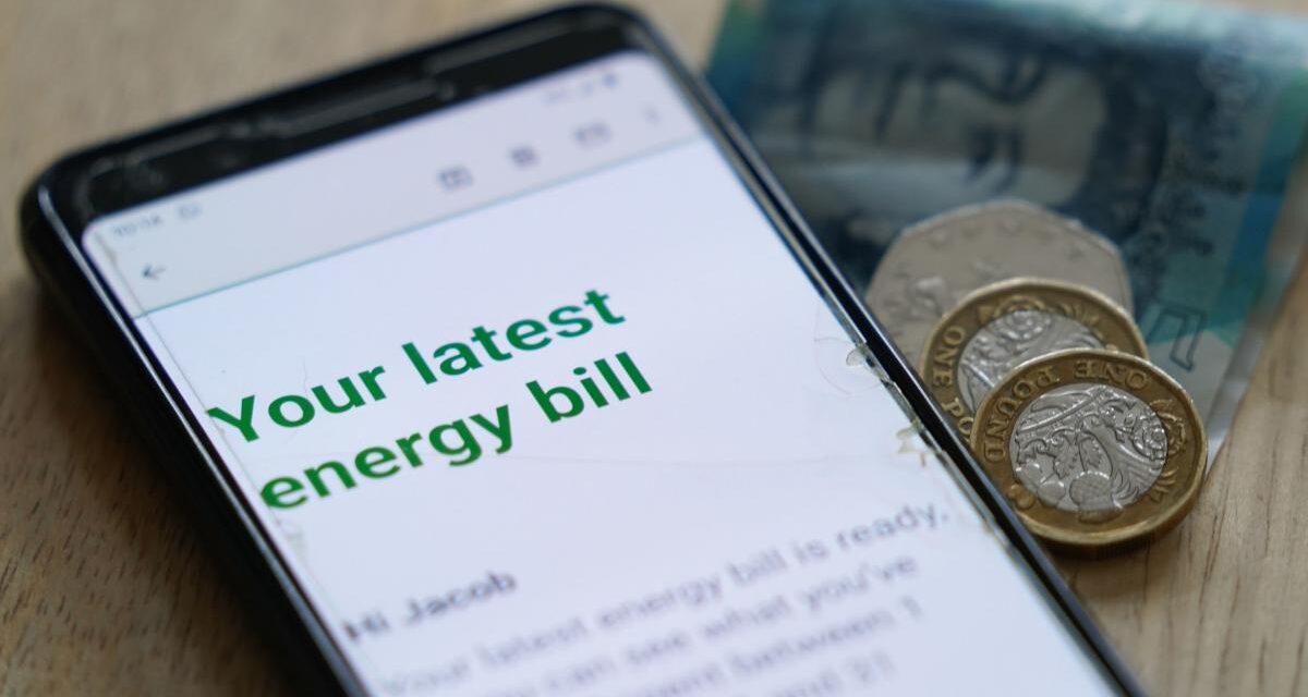Boris Johnson faces down Tory MPs over energy bill green levies