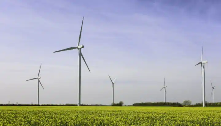 Switching off Britain’s wind farms has added £806m to energy bills