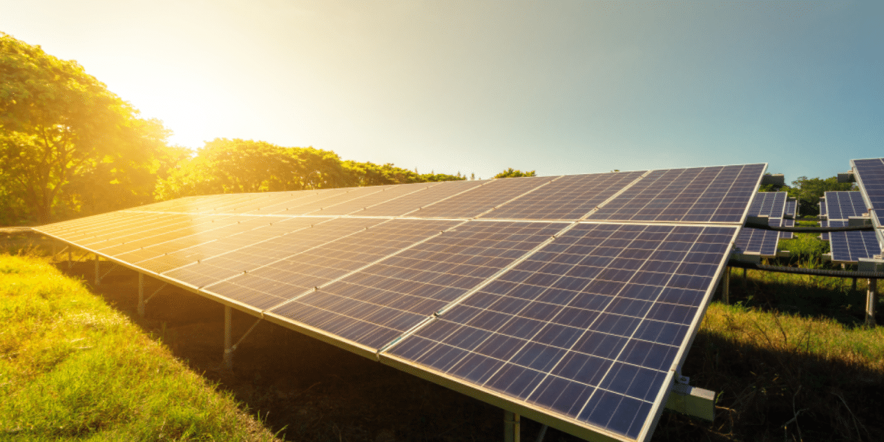 77% of UK public support development of solar and wind farms to tackle the energy crisis, says Survation