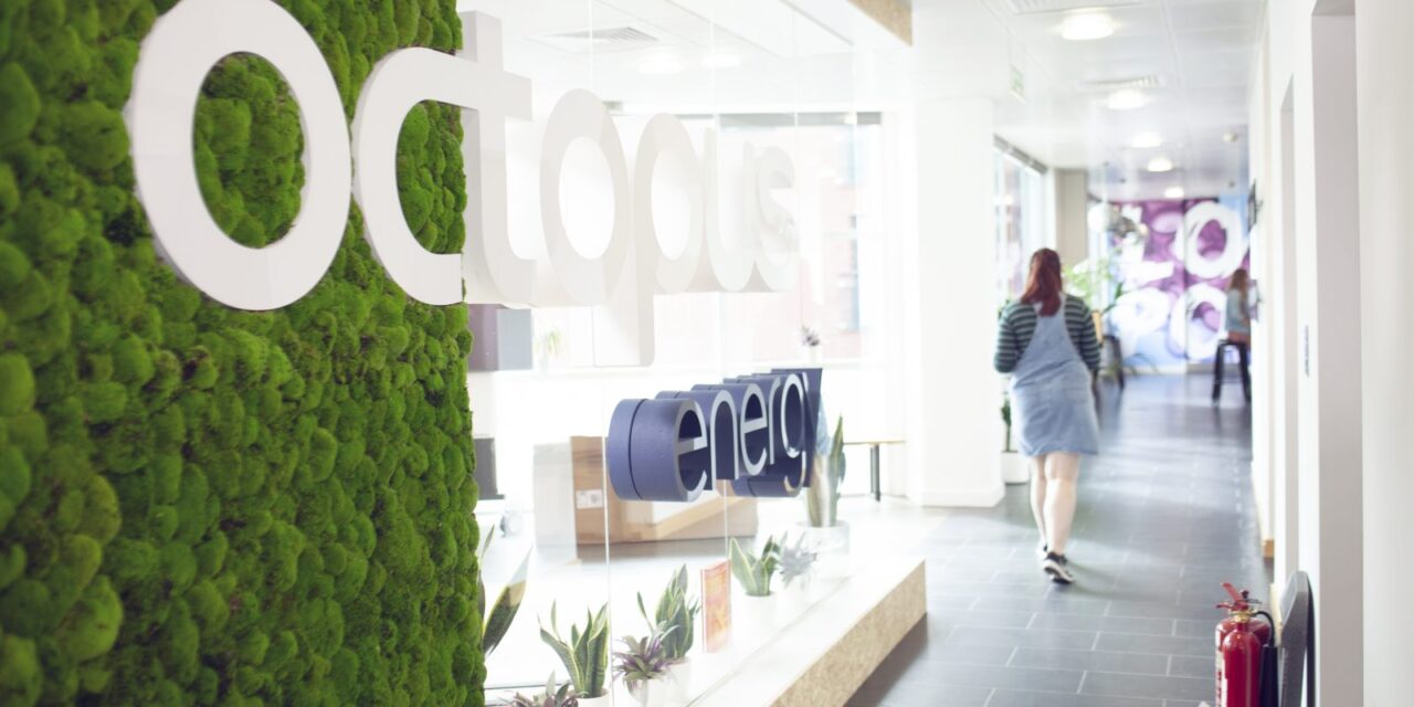 Octopus Energy to take on Bulb’s 1.5 million customers to become third biggest supplier