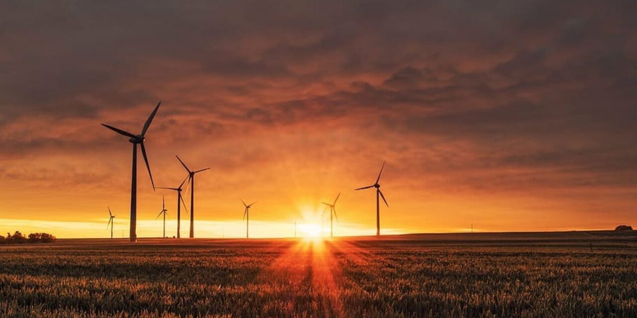 UK renewable sector has shown ‘resilience and ingenuity despite government failings’