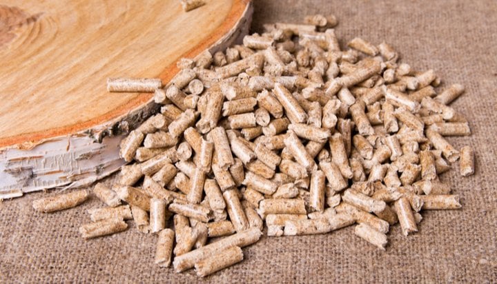 MPs say ‘time to rethink biomass subsidies’