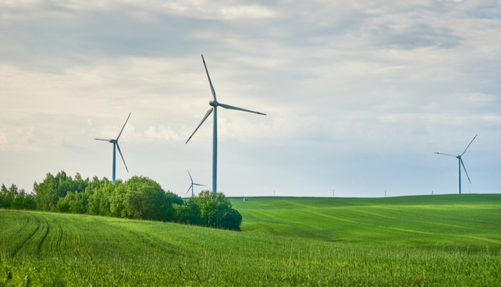 ‘Fossil fuels to be pushed out by renewable boom’