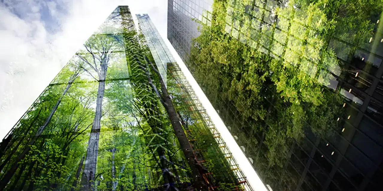 Science-based targets for nature launched for businesses
