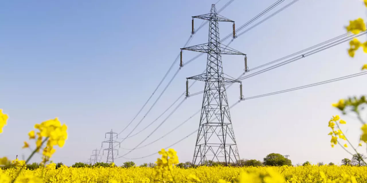 Energy transition: Government backs new masterplan to halve grid infrastructure delivery times