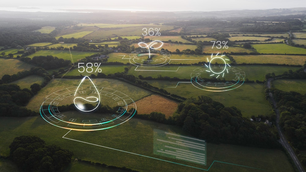 Why “Net Zero” Became Politically Toxic — And Why Onsite Renewables Are the Practical Way Through